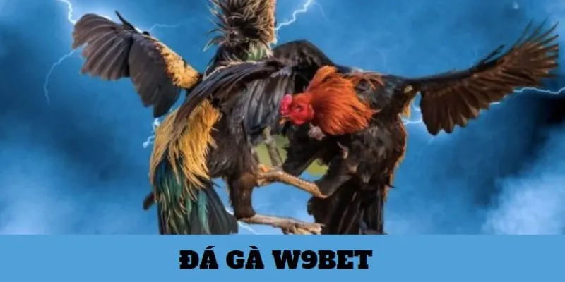 da-ga-w9bet